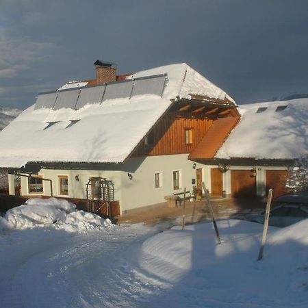 Haus Schober Appartement Windischgarsten Buitenkant foto